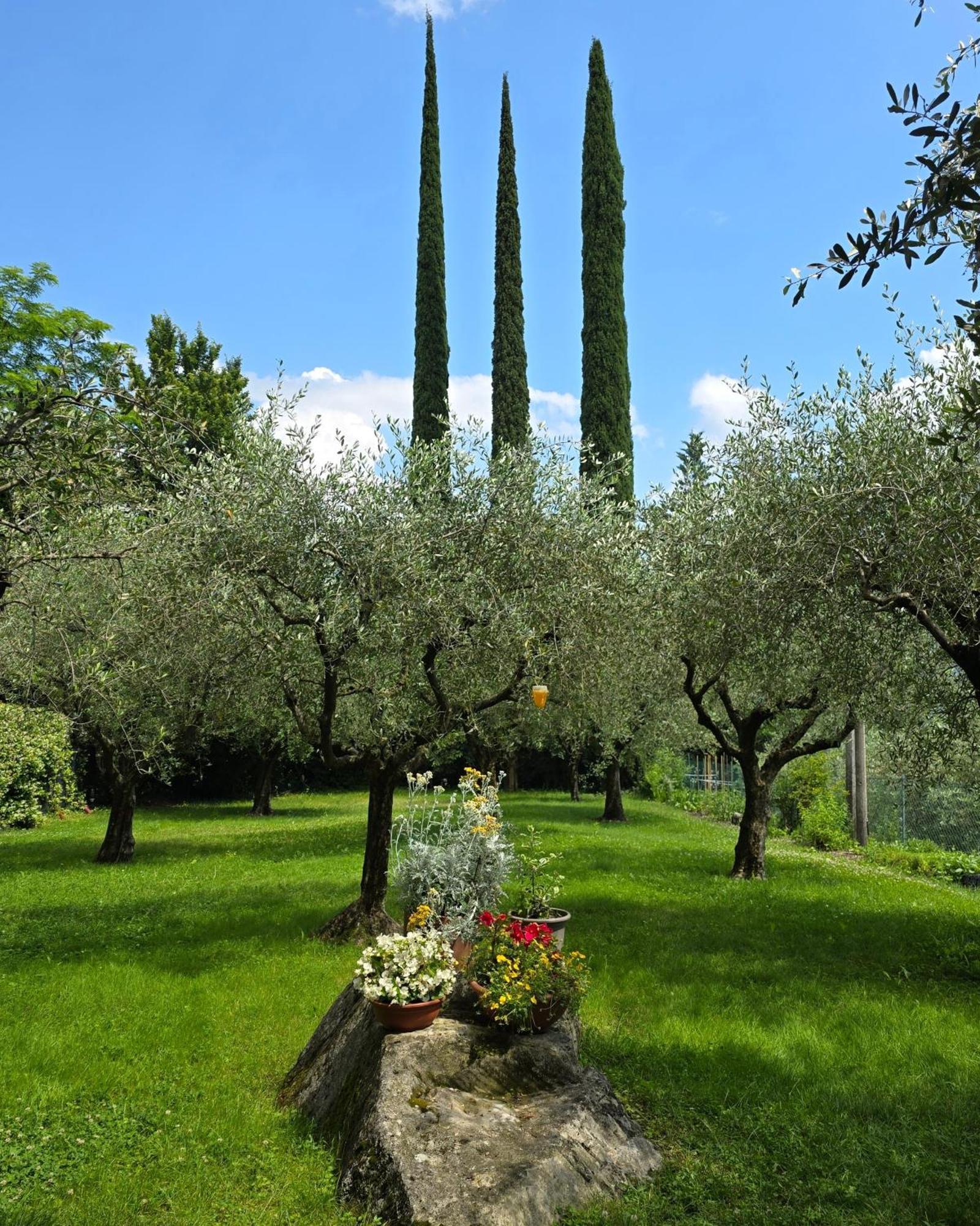 La Berlera - Riva Del Garda Hotel Екстериор снимка
